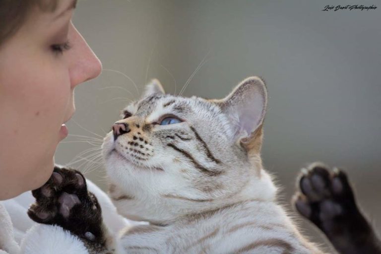 FB_IMG_1549719404371[1]