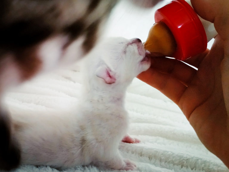 LRM_EXPORT_128804754698875_20190922_115741970[1]