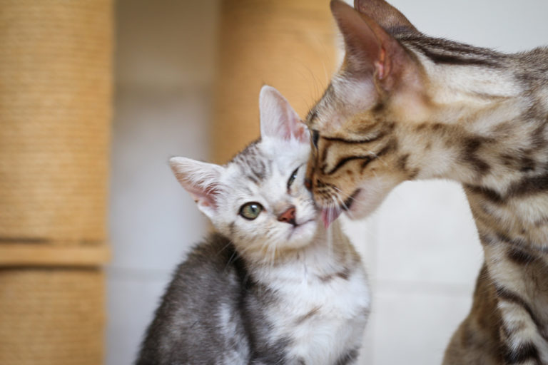 LRM_EXPORT_7655991246244_20190824_105653316[1]